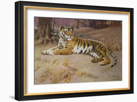 The Tiger-John Charles Dollman-Framed Giclee Print