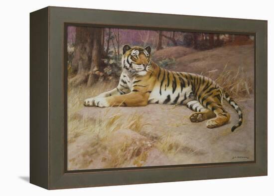 The Tiger-John Charles Dollman-Framed Premier Image Canvas