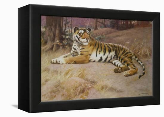 The Tiger-John Charles Dollman-Framed Premier Image Canvas