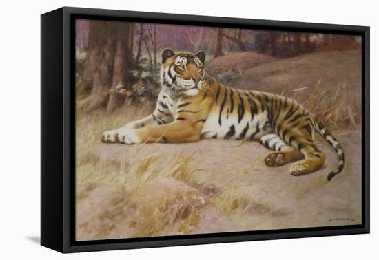 The Tiger-John Charles Dollman-Framed Premier Image Canvas