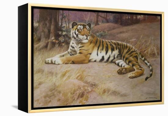 The Tiger-John Charles Dollman-Framed Premier Image Canvas