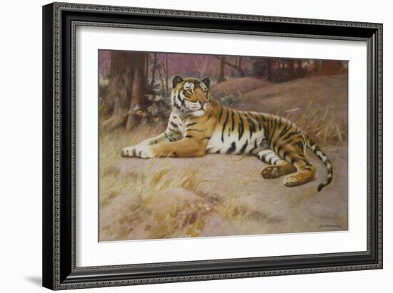 The Tiger-John Charles Dollman-Framed Giclee Print