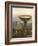 The Titan's Goblet, 1833-Thomas Cole-Framed Giclee Print