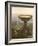 The Titan's Goblet, 1833-Thomas Cole-Framed Giclee Print