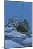 The Titanic Collides with an Iceberg on the 28th Aprl 1912-English School-Mounted Giclee Print