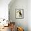 The Toco Toco Toucan (Ramphastos Toco)-Jacques Barraband-Framed Giclee Print displayed on a wall