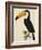 The Toco Toco Toucan (Ramphastos Toco)-Jacques Barraband-Framed Giclee Print