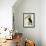 The Toco Toco Toucan (Ramphastos Toco)-Jacques Barraband-Framed Giclee Print displayed on a wall