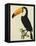 The Toco Toco Toucan (Ramphastos Toco)-Jacques Barraband-Framed Premier Image Canvas