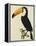 The Toco Toco Toucan (Ramphastos Toco)-Jacques Barraband-Framed Premier Image Canvas