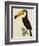 The Toco Toco Toucan (Ramphastos Toco)-Jacques Barraband-Framed Giclee Print