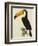 The Toco Toco Toucan (Ramphastos Toco)-Jacques Barraband-Framed Giclee Print