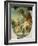 The Toilet of Venus-Francois Boucher-Framed Giclee Print