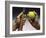 The Tools for Tennis-null-Framed Photographic Print