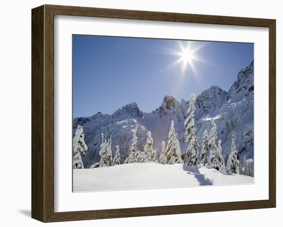 The Tooth in the Background, Mount Baker-Snoqualmie National Forest, Washington, Usa-Jamie & Judy Wild-Framed Photographic Print