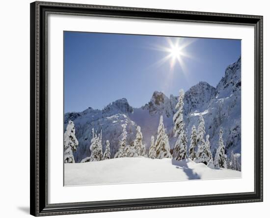 The Tooth in the Background, Mount Baker-Snoqualmie National Forest, Washington, Usa-Jamie & Judy Wild-Framed Photographic Print