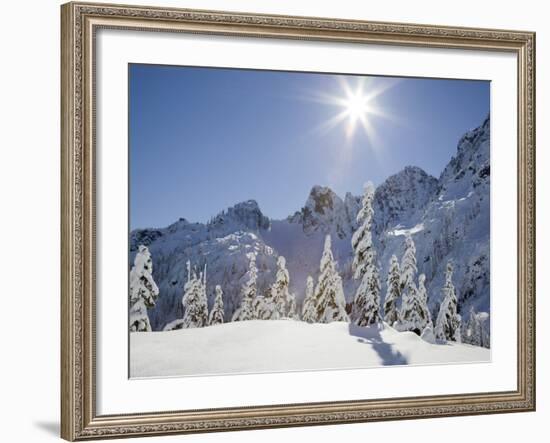 The Tooth in the Background, Mount Baker-Snoqualmie National Forest, Washington, Usa-Jamie & Judy Wild-Framed Photographic Print