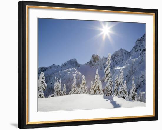The Tooth in the Background, Mount Baker-Snoqualmie National Forest, Washington, Usa-Jamie & Judy Wild-Framed Photographic Print
