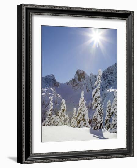 The Tooth in the Background, Mount Baker-Snoqualmie National Forest, Washington, Usa-Jamie & Judy Wild-Framed Photographic Print