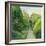 The Topiary Path, Powis Castle-Timothy Easton-Framed Giclee Print