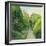 The Topiary Path, Powis Castle-Timothy Easton-Framed Giclee Print