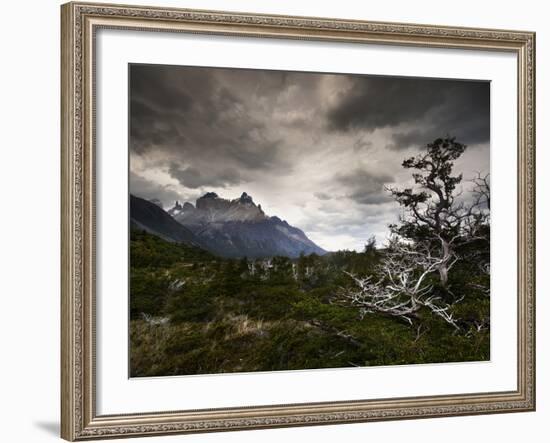 The Torres Del Paine Mountains on a Cloudy Day-Alex Saberi-Framed Photographic Print