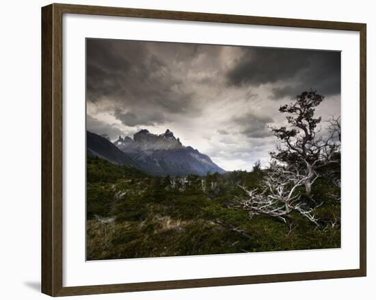 The Torres Del Paine Mountains on a Cloudy Day-Alex Saberi-Framed Photographic Print