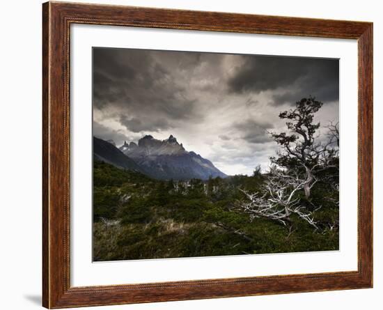 The Torres Del Paine Mountains on a Cloudy Day-Alex Saberi-Framed Photographic Print