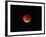 The Totality Phase of a Lunar Eclipse During the 2010 Solstice-Stocktrek Images-Framed Photographic Print