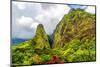 The Towering Monolith Covered in Tropical Plant Life known as the 'Lao Needle in the West Maui Moun-MH Anderson Photography-Mounted Photographic Print