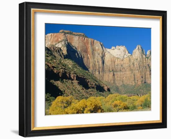 The Towers of the Virgin, Zion National Park, Utah, USA-Ruth Tomlinson-Framed Photographic Print