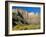 The Towers of the Virgin, Zion National Park, Utah, USA-Ruth Tomlinson-Framed Photographic Print