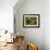 The Tractor Vermont-Stephen Huneck-Framed Giclee Print displayed on a wall