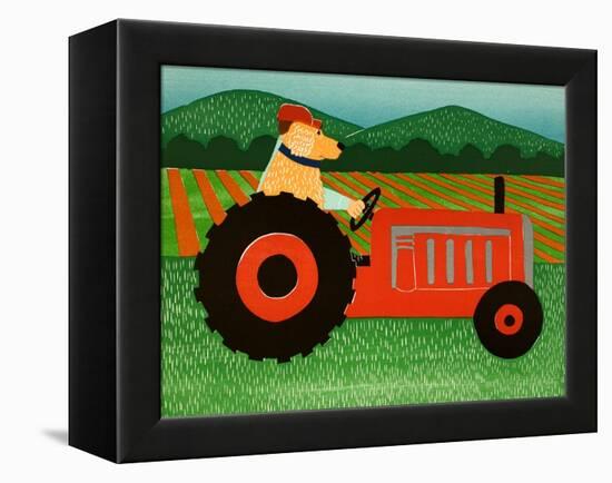 The Tractor-Stephen Huneck-Framed Premier Image Canvas