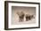 The Trail-Ali Khataw-Framed Photographic Print