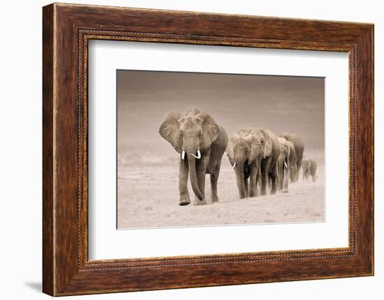 The Trail-Ali Khataw-Framed Photographic Print