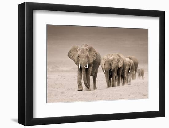 The Trail-Ali Khataw-Framed Photographic Print