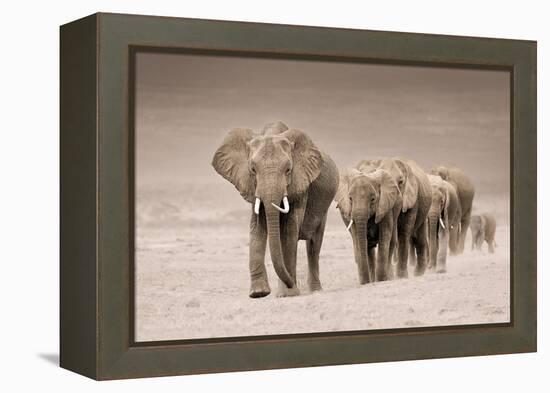 The Trail-Ali Khataw-Framed Premier Image Canvas