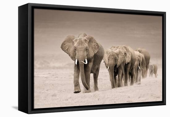 The Trail-Ali Khataw-Framed Premier Image Canvas