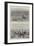 The Transvaal War, Scenes at the Front-null-Framed Giclee Print