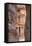The Treasury as Seen from the Siq, Petra, Jordan, Middle East-Richard Maschmeyer-Framed Premier Image Canvas