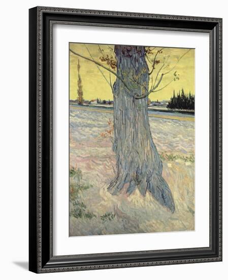 The Tree. Arles, September 1888-Vincent van Gogh-Framed Giclee Print