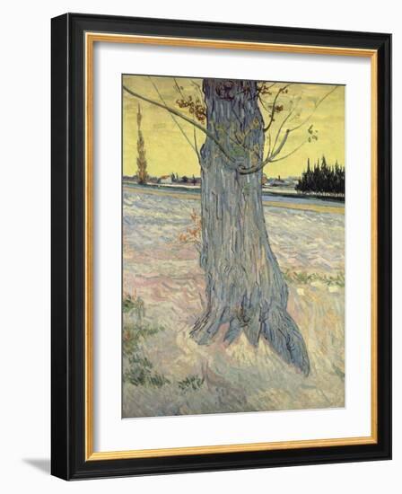 The Tree. Arles, September 1888-Vincent van Gogh-Framed Giclee Print