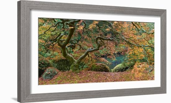 The Tree Final-Moises Levy-Framed Photographic Print