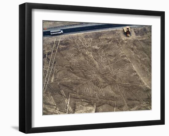 The Tree Geoglyph, aerial view, Nazca, UNESCO World Heritage Site, Ica Region, Peru, South America-Karol Kozlowski-Framed Photographic Print