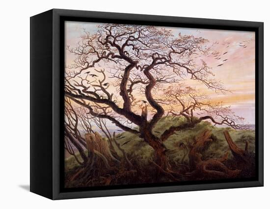 The Tree of Crows, 1822-Caspar David Friedrich-Framed Premier Image Canvas