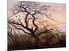 The Tree of Crows, 1822-Caspar David Friedrich-Mounted Giclee Print