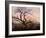 The Tree of Crows, 1822-Caspar David Friedrich-Framed Giclee Print