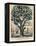 The Tree of Intemperance, Published by N. Currier, New York, 1849-Currier & Ives-Framed Premier Image Canvas