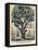 The Tree of Intemperance, Published by N. Currier, New York, 1849-Currier & Ives-Framed Premier Image Canvas